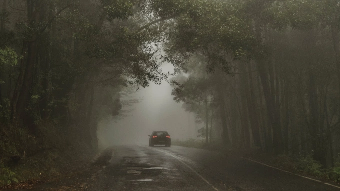 Жителей Ленобласти предупредили о тумане в ночь на 10 октября