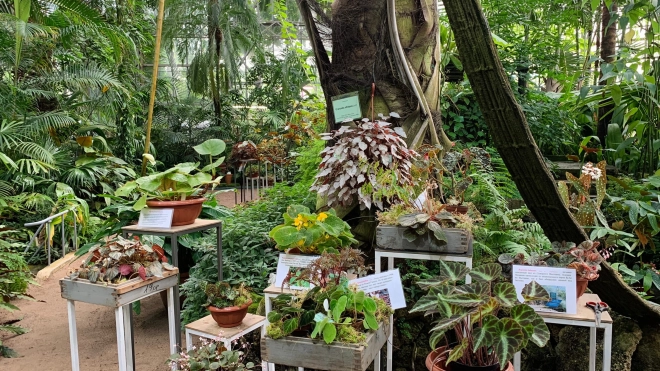 Ботанический сад Петербурга переходит на зимний режим работы 