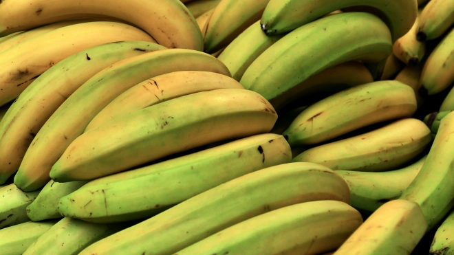 С начала года в Петербург привезли 236 тысяч тонн бананов