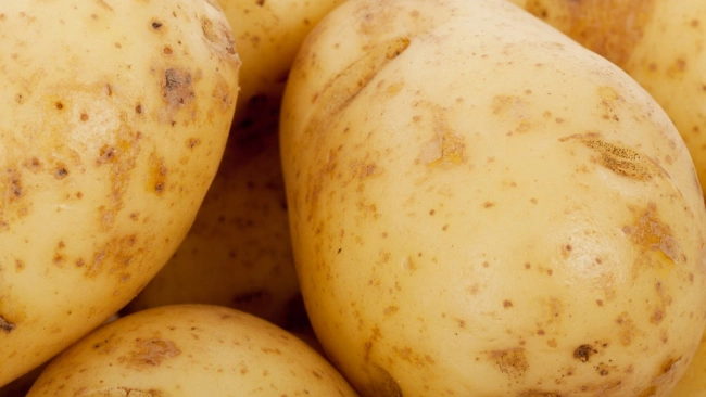 Поставки египетского картофеля на российский рынок сократились 