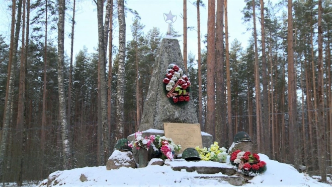 В Красносельском поселении предали земле останки 39 красноармейцев