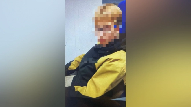 На станции Сосновая Поляна с электрички сняли юного зацепера