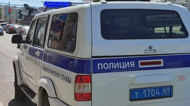 В Тосненском районе водитель "Мазды" насмерть сбил пешехода