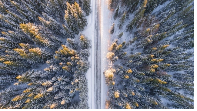 Последствия осеннего снегопада на дорогах Ленобласти убирают 100 единиц спецтехники