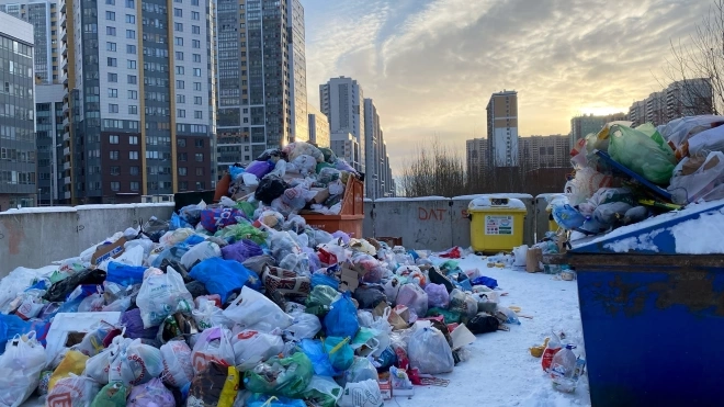 Петербуржцы смогут вернуть деньги за несвоевременный вывоз мусора 