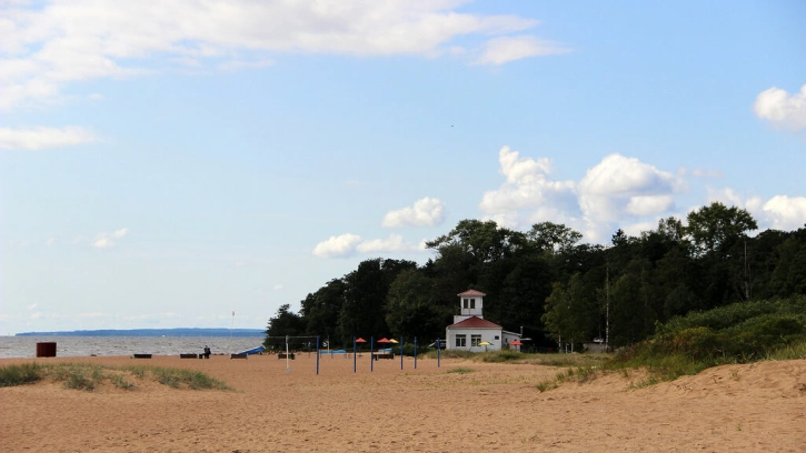 К лету 2022 года в Зеленогорске планируют благоустроить Золотой пляж
