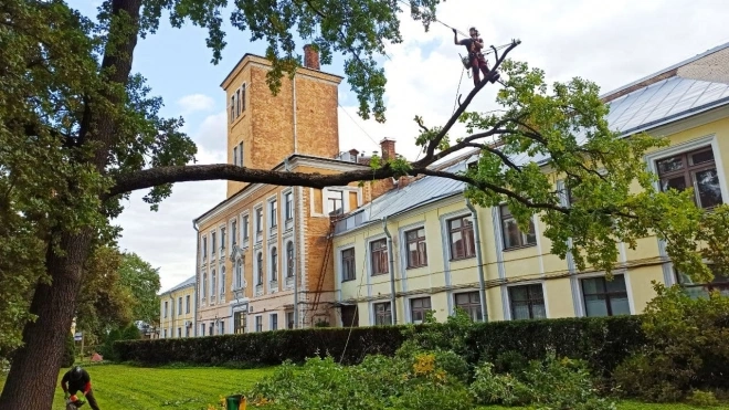 Оранжереи Ботанического сада в Петербурге временно закрыли из-за жары
