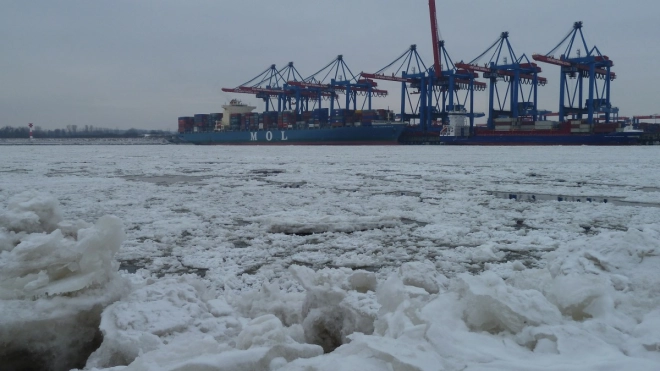 В Петербурге 30 января введут желтый уровень погодной опасности из-за ветра