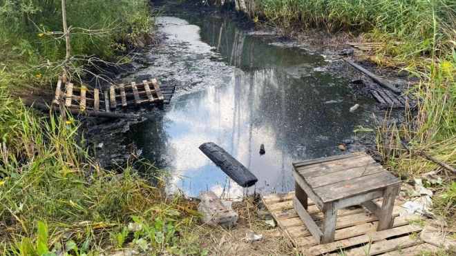 Окружающей среде за загрязнение ручья в Металлострое возместят ущерб в 1,7 млн рублей