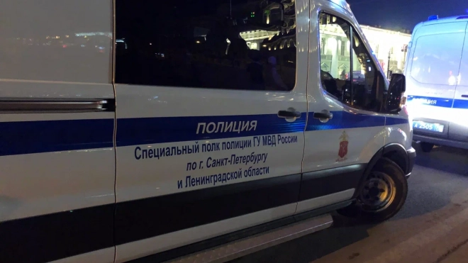 В Петербурге задержан "сантехник-домушник" из Вологды