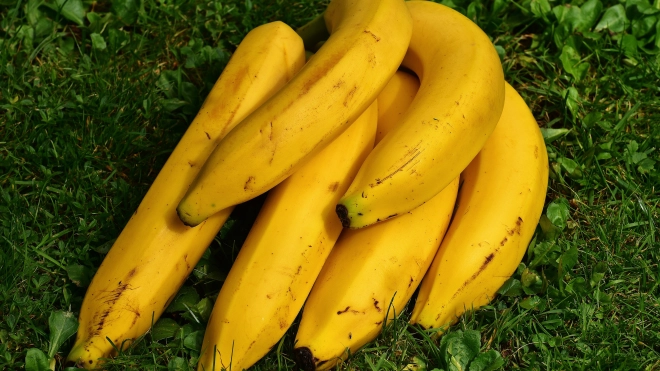 С начала года в Петербург привезли 972 тысячи тонн бананов