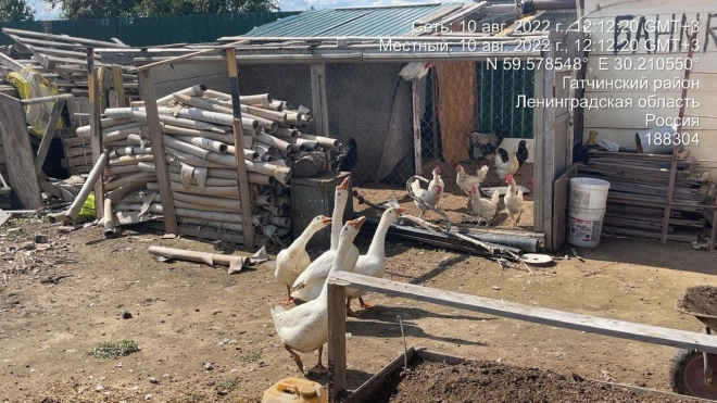 Госэконадзор обнаружил нелегальную мини-ферму в Ленобласти