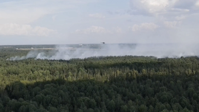 В Ломоносовском районе военные заливают тлеющий лес с вертолетов