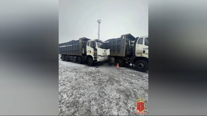 В ДТП с грузовиками на терминале "Усть-Луга" погиб пешеход