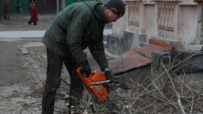В Румянцевском саду в Петербурге вырубят 72 дерева