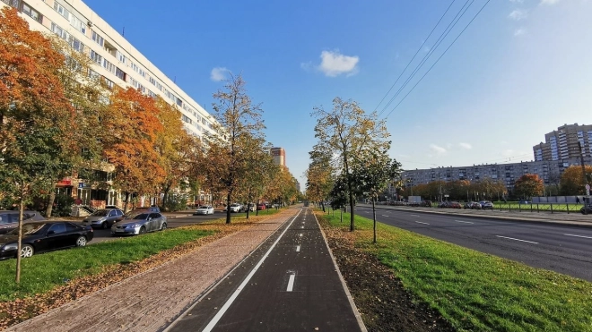 Комитет по транспорту займется велодорожками, платной парковкой и организацией выделенных полос в Петербурге