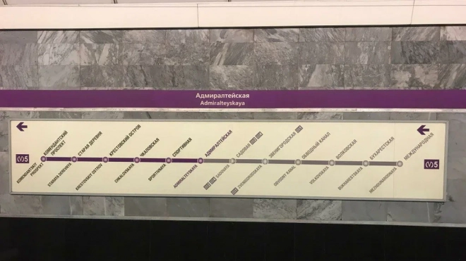 Пассажир упал на пути на фиолетовой ветке петербургского метро