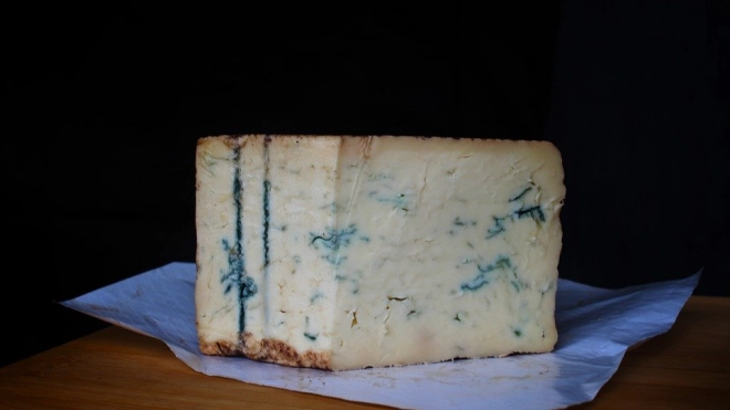 Древние жители Австрии пили пиво и ели сыр с голубой плесенью 