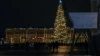 Петербуржцы выбрали установку живой новогодней елки ...