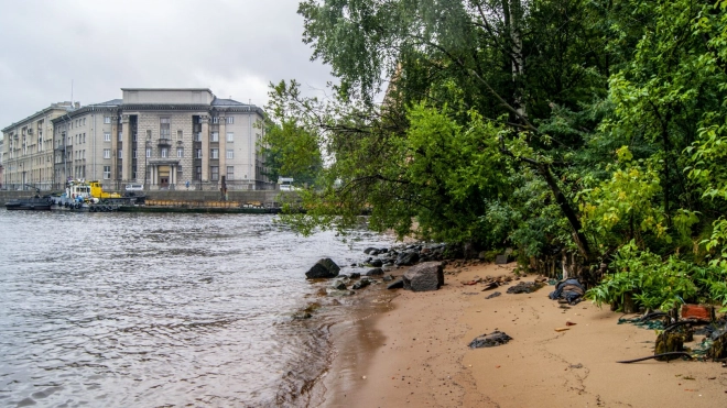 Активисты Васильевского острова получили ответ от КРТИ о возможном развитии парка "Заросли"