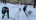 В Александровском саду специалисты садово-парковых предприятий расчистили дорожки и аллеи от снега 
