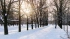 Утром 10 декабря петербуржцы заметили ледяную пыль