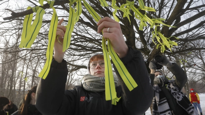 В Московском парке Победы 27 января появится Блокадное дерево памяти