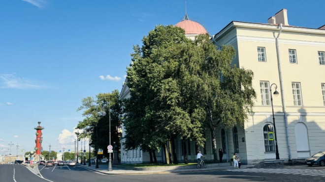 В Петербурге продлят набережную Макарова и проложат новую улицу в Петродворцовом районе