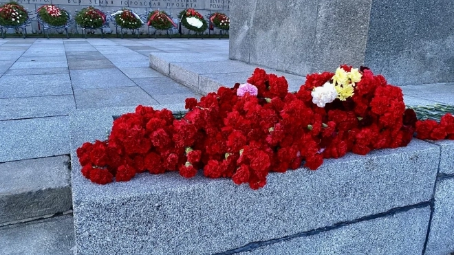 Петербургский депутат предложил ввести в РФ день памяти детей, ставших жертвами военных конфликтов