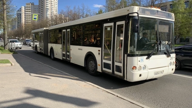 Бесплатный проезд для льготников в пригородных автобусах одобрили в Петербурге 