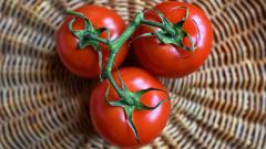 Россельхознадзор ослабил ограничения на ввоз помидоров из трех областей Узбекистана