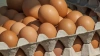 Россиянам рассказали, почему импортные яйца не попали ...