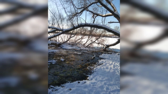 Сброс сточных вод в Ижору зафиксировали в городе Тельмана