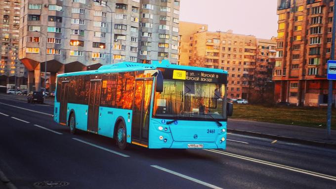 На улицы Петербурга выходят 100 новых низкопольных автобусов