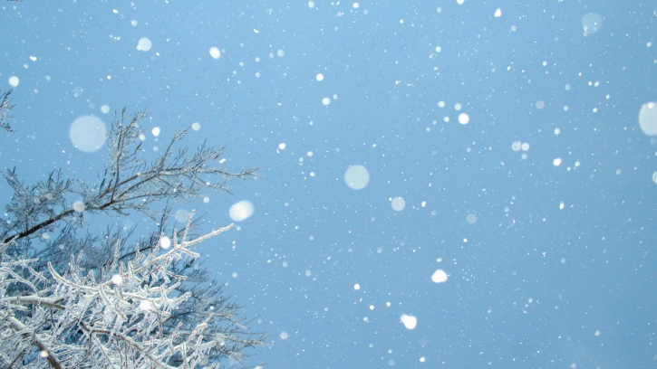Небольшой снег ожидается в Петербурге 2 февраля