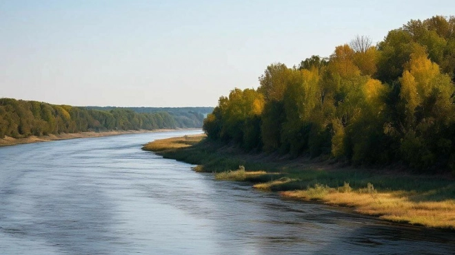 Петербурженка утонула на левом берегу Дона во время отпуска