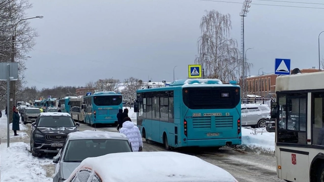 В Пушкине в пробку попали 20 автобусов