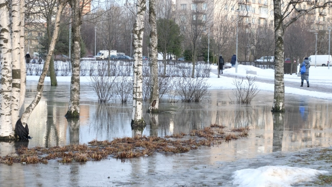 В Ленобласти 24 марта ожидается до +9 градусов и снег с дождём