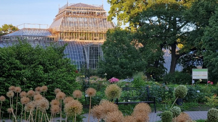 Оранжереи Ботанического сада закрыли из-за жары до конца дня