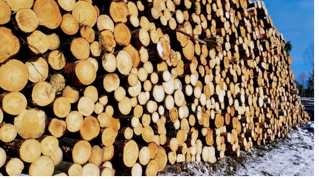 ЕК инициирует спор в ВТО из-за ограничений экспорта российского леса