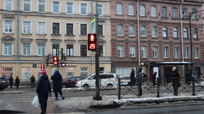Создание единой системы уборки улиц Петербурга займет 1,5 года