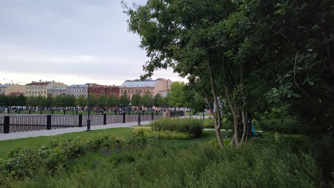В Петербурге 25 мая температура приблизится к норме 