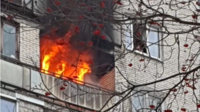В период новогодних праздников в Петербурге в пожарах погибли 5 человек