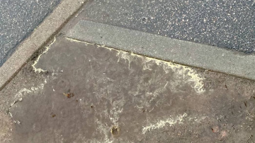 Росприроднадзор объяснил появление желтых разводов на асфальте после дождя