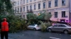 Почти 100 деревьев упали под натиском шторма в Петербург...