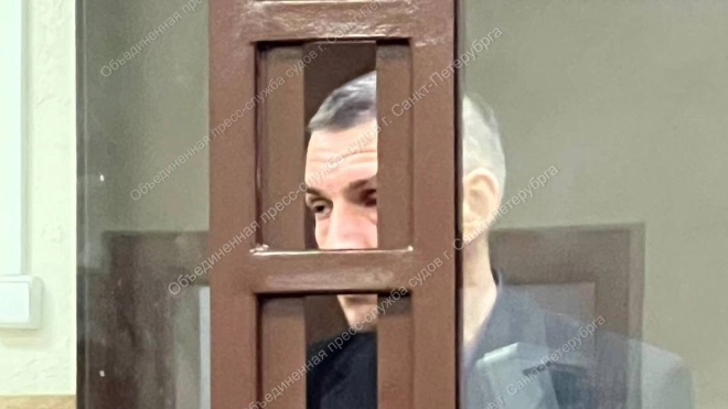 Убивший свою мать на Ленинском проспекте заключен под стражу до ноября