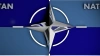 НАТО проведет переговоры с РФ по гарантиям безопасности ...