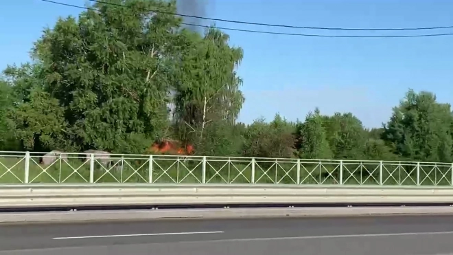 В двух районах Петербурга тушили лесные пожары