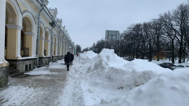 Вишневский: денег на уборку снега в Петербурге не хватает из-за многомиллионных трат на Мариуполь