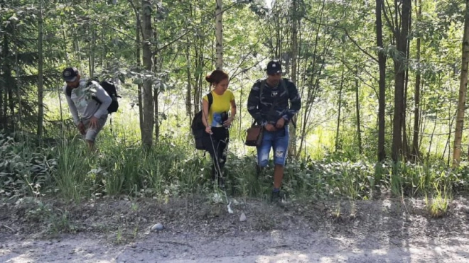 В Ленобласти задержали троих мигрантов при попытке пробраться в Финляндию 